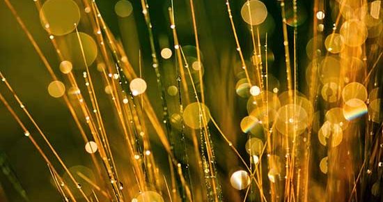 divine atmosphere